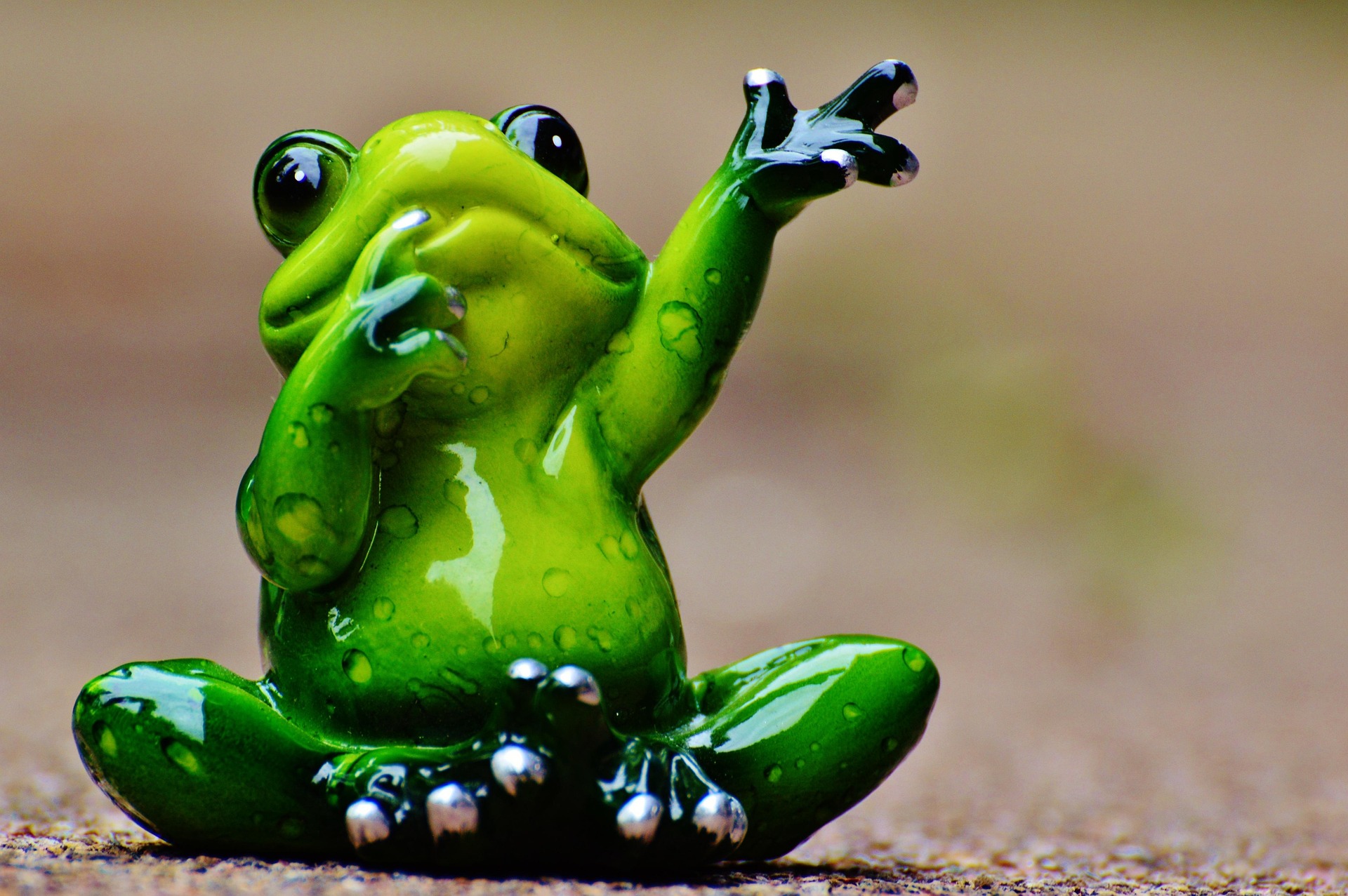 frog waving